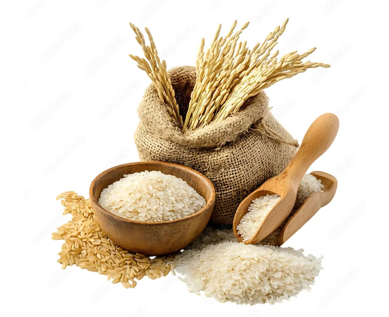 Rice